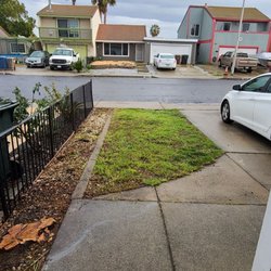 Torres Landscaping - Trimmed the grass, cut down a small tree trunk, and  pulled out a large lavender plant.