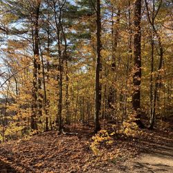 Sixteen Mile Creek