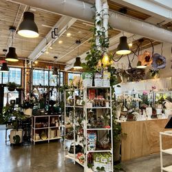 Stacy K Floral