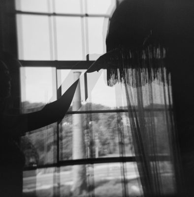 The Radical Asheville, Tapestry Collection by Hilton by null