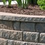 Twins Stamp Concrete and Stone