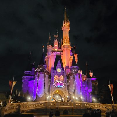 Tokyo Disneyland by null