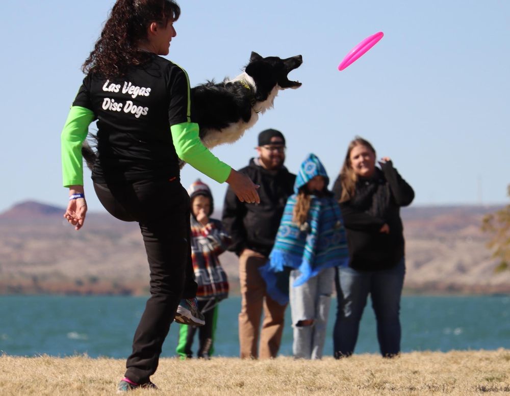 K9 Krew Pet Services - pet boarding facility in Enterprise, NV