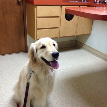Kearny Mesa Veterinary Center - Ready to see Dr. Barre ! - Veterinarians Near Me - San Diego, California Kearny Mesa Veterinary Center - Ready to see Dr. Barre ! - Veterinarians Near Me - San Diego, California