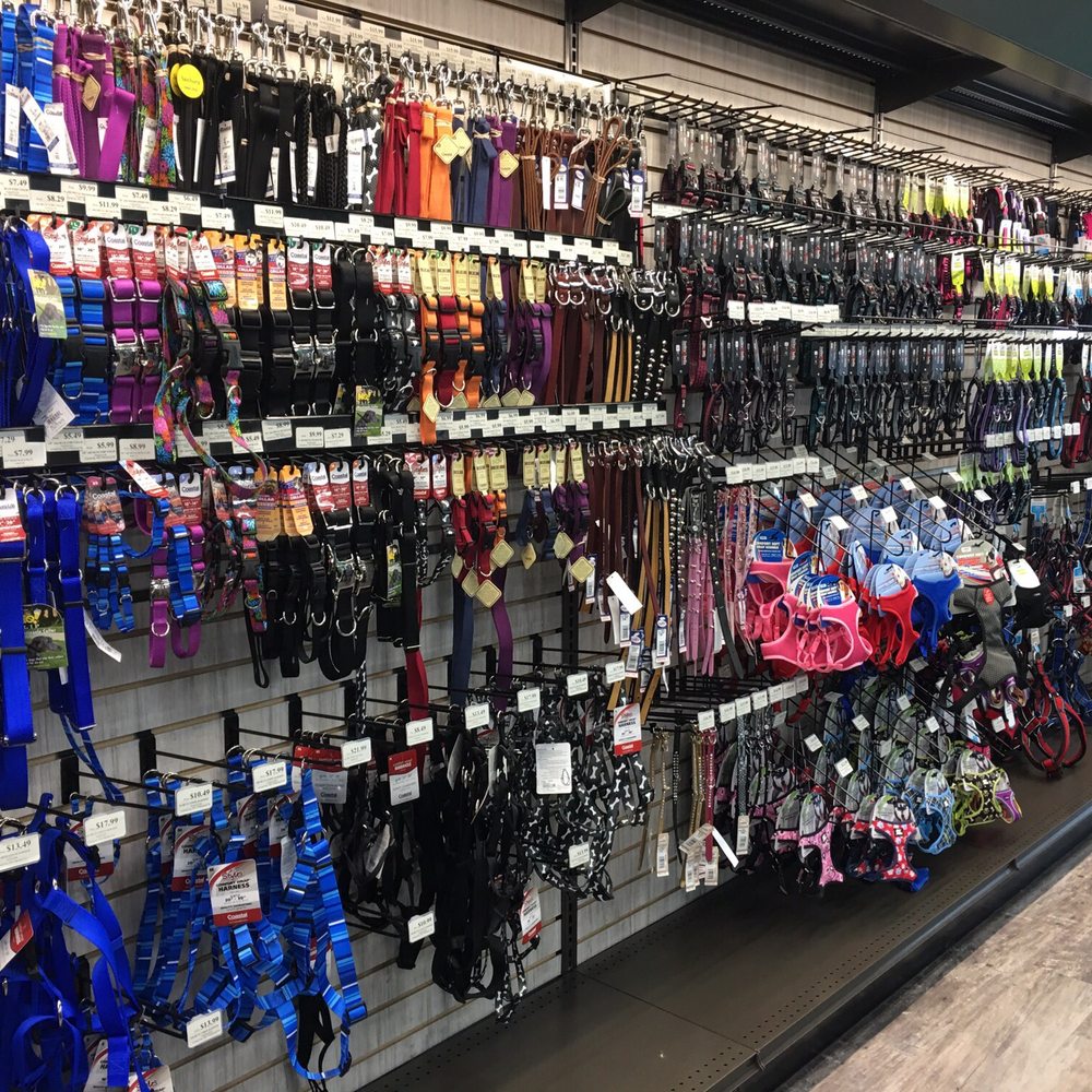 Pet Supermarket - Collars and harnesses - Pet Groomers Near Me - Greenville, South Carolina Pet Supermarket - Collars and harnesses - Pet Groomers Near Me - Greenville, South Carolina