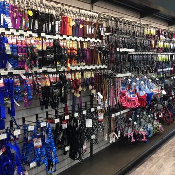 Pet Supermarket - Collars and harnesses - Pet Groomers Near Me - Greenville, South Carolina Pet Supermarket - Collars and harnesses - Pet Groomers Near Me - Greenville, South Carolina