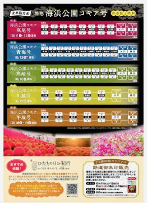 Hitachi Seaside Park by null