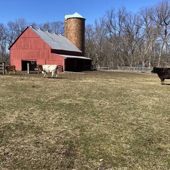 Oxon Hill Farm - Cows - Parks Near Me - Oxon Hill, Maryland Oxon Hill Farm - Cows - Parks Near Me - Oxon Hill, Maryland