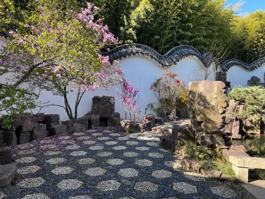 New York Chinese Scholar's Garden, Snug Harbor Cultural Center by null