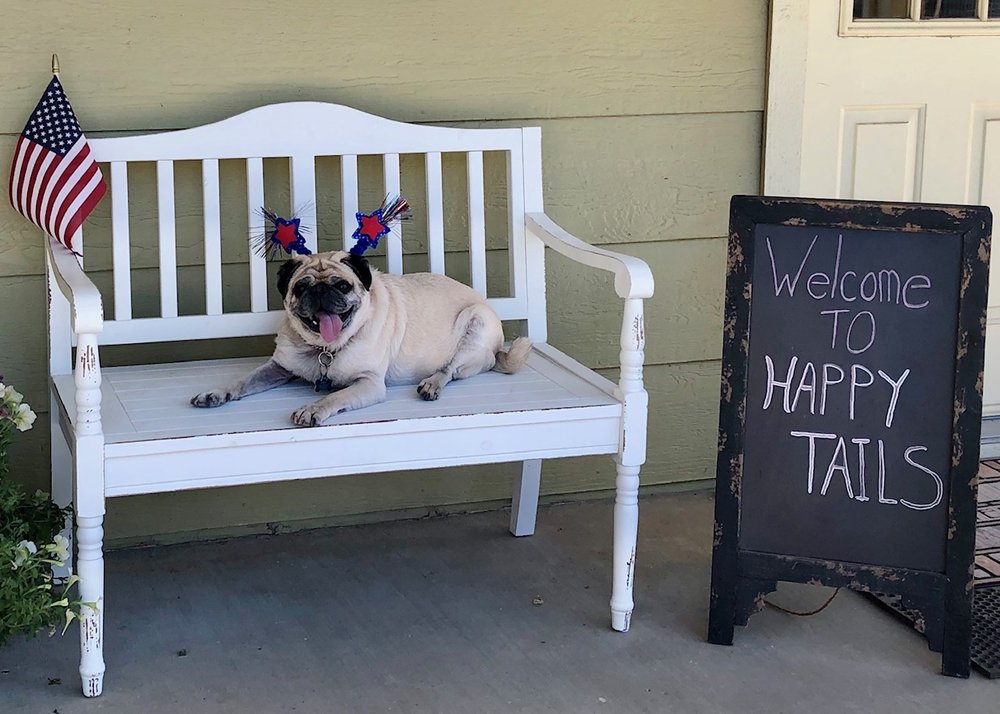 HAPPY TAILS PET RESORT Updated October 2024 10 Photos 25550 Road