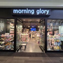 Morning Glory