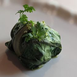 Restaurant Lido 84 - 03/04/24 Chard Wrap, Cous Cous, Potato, Turnip Green Curry, Combawa