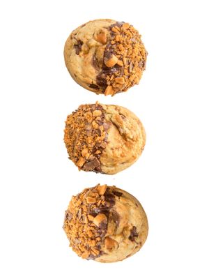 CurlyTop Baker by null