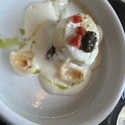 Scallop Scallop