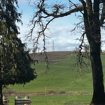 Ghost Hill Cellars - Vineyard view - Wineries Near Me - Carlton, Oregon