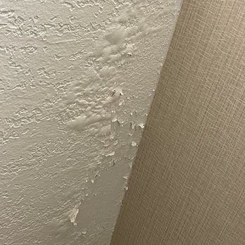 Radisson Hotel Bismarck - Water damage on the ceiling and it was damp to the touch. - Hotels Near Me - Bismarck, North Dakota Radisson Hotel Bismarck - Water damage on the ceiling and it was damp to the touch. - Hotels Near Me - Bismarck, North Dakota