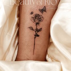 Beauty of Rio Studio