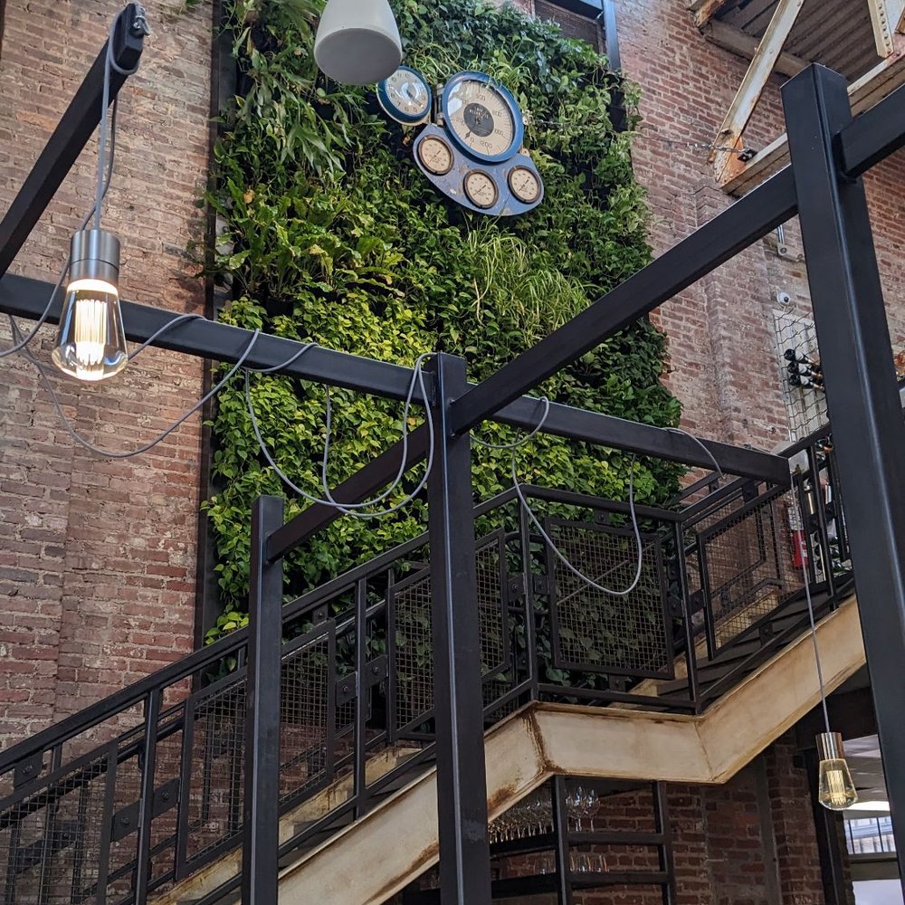 Gunther & Co - They have a live wall! - Seafood Near Me - Baltimore, Maryland