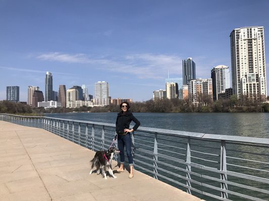 The Brook Apartments