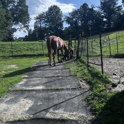 Cantrell Farm