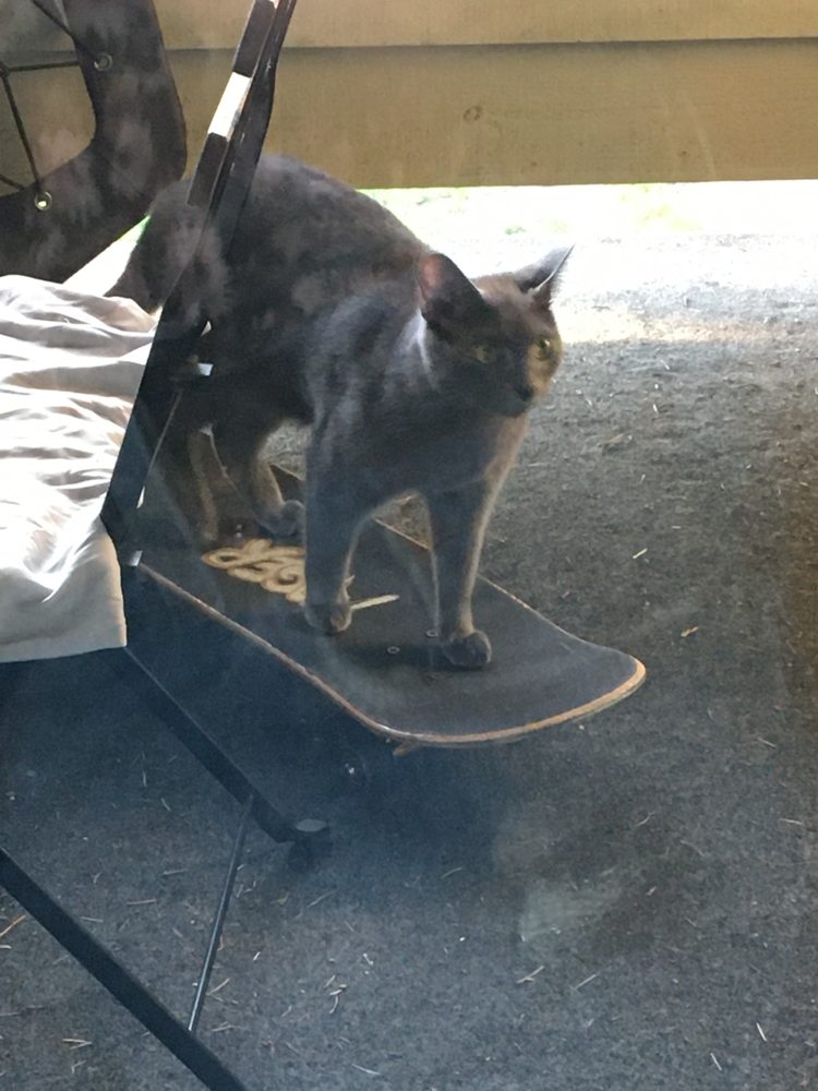 MEADOWOOD APARTMENTS Updated September 2024 27 Photos 801 Israel