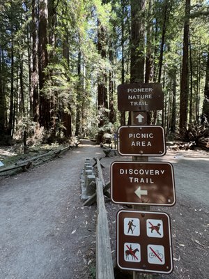 Armstrong Redwoods State Natural Reserve by null
