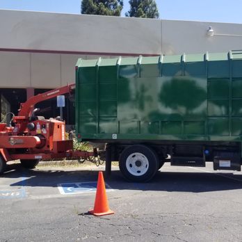 Al and Sons Tree Service - Tree Services Near Me Al and Sons Tree Service - Tree Services Near Me
