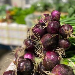 Gallatin Valley Farmers' Market