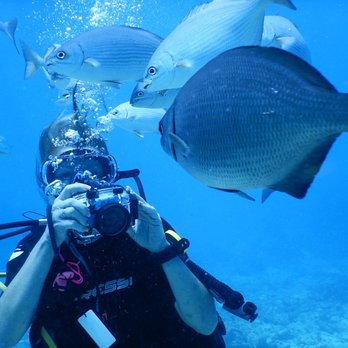 Sail Fish Scuba - Molasses Reef - Scuba Diving Near Me - Key Largo, Florida