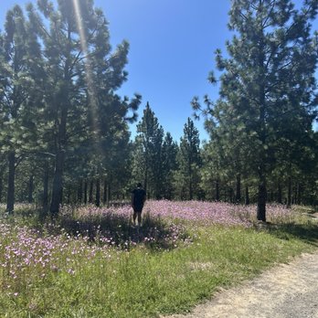 Cooper Mountain Nature Park - Parks Near Me - Beaverton, Oregon Cooper Mountain Nature Park - Parks Near Me - Beaverton, Oregon
