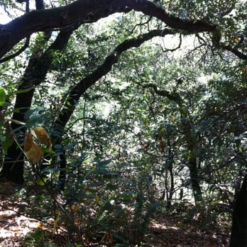 Chabot Park - yep I love my job - Parks Near Me - San Leandro, California