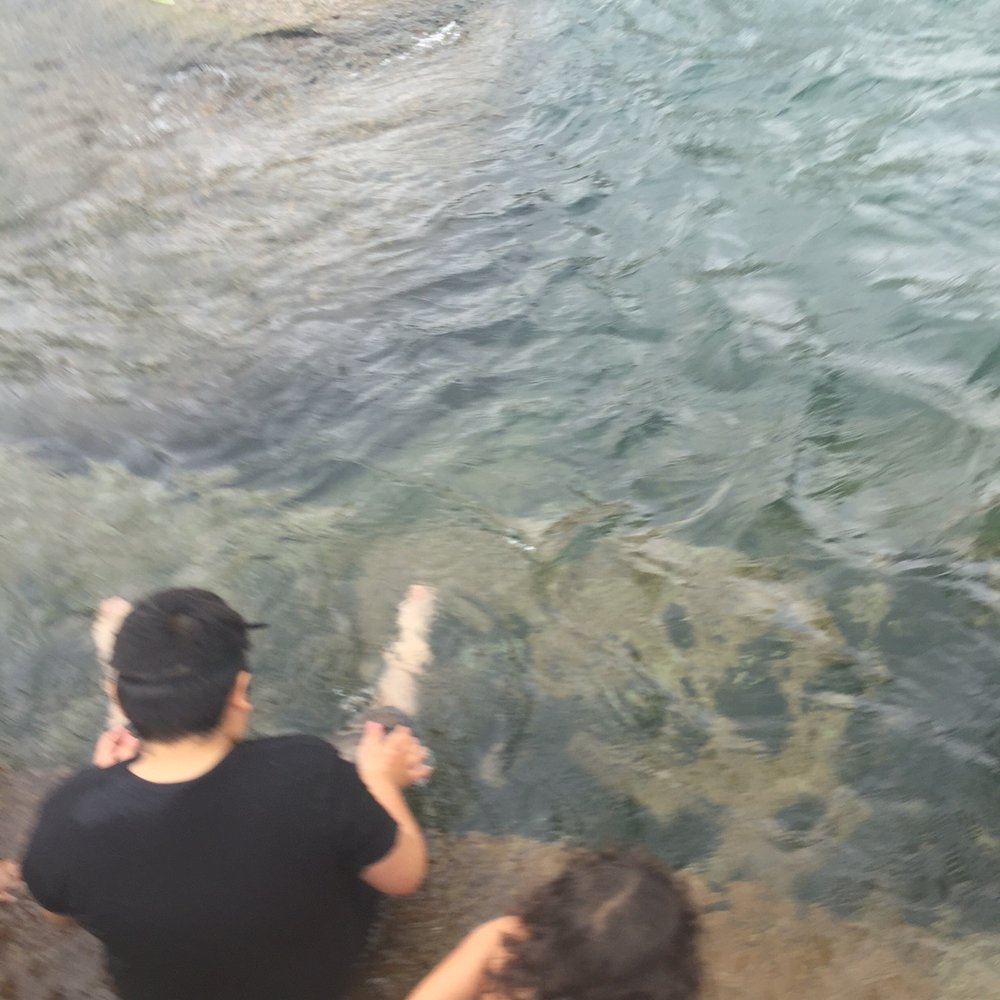 Rio Vista Park - Water is very clear, there is s bit of debris from careless people who liter - Parks Near Me - San Marcos, Texas Rio Vista Park - Water is very clear, there is s bit of debris from careless people who liter - Parks Near Me - San Marcos, Texas