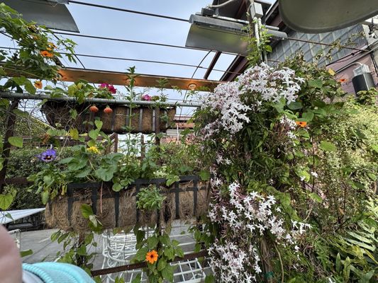 Santa Barbara Wine Collective by null