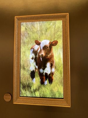 Fort Worth Museum of Science and History by null