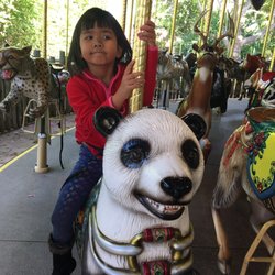 Conservation Carousel