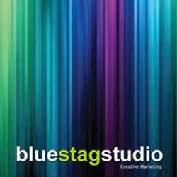 Blue Stag Studio