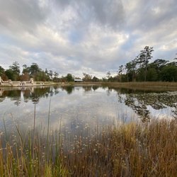 Memorial Park - Beautiful