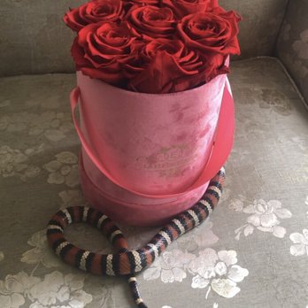 La Fleur Eclose - Everlasting roses - Florists Near Me - Encino, California