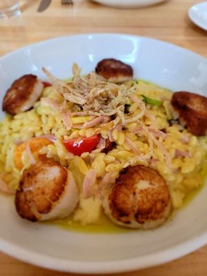 The Royal Tern by null The Royal Tern by null