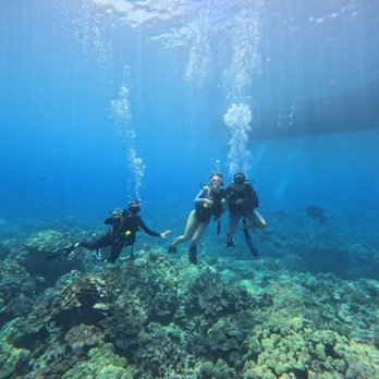 Aquatic Life Divers - Scuba Diving Near Me - Kailua-kona, Hawaii Aquatic Life Divers - Scuba Diving Near Me - Kailua-kona, Hawaii