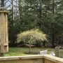 Photo of O’Gara Lawncare