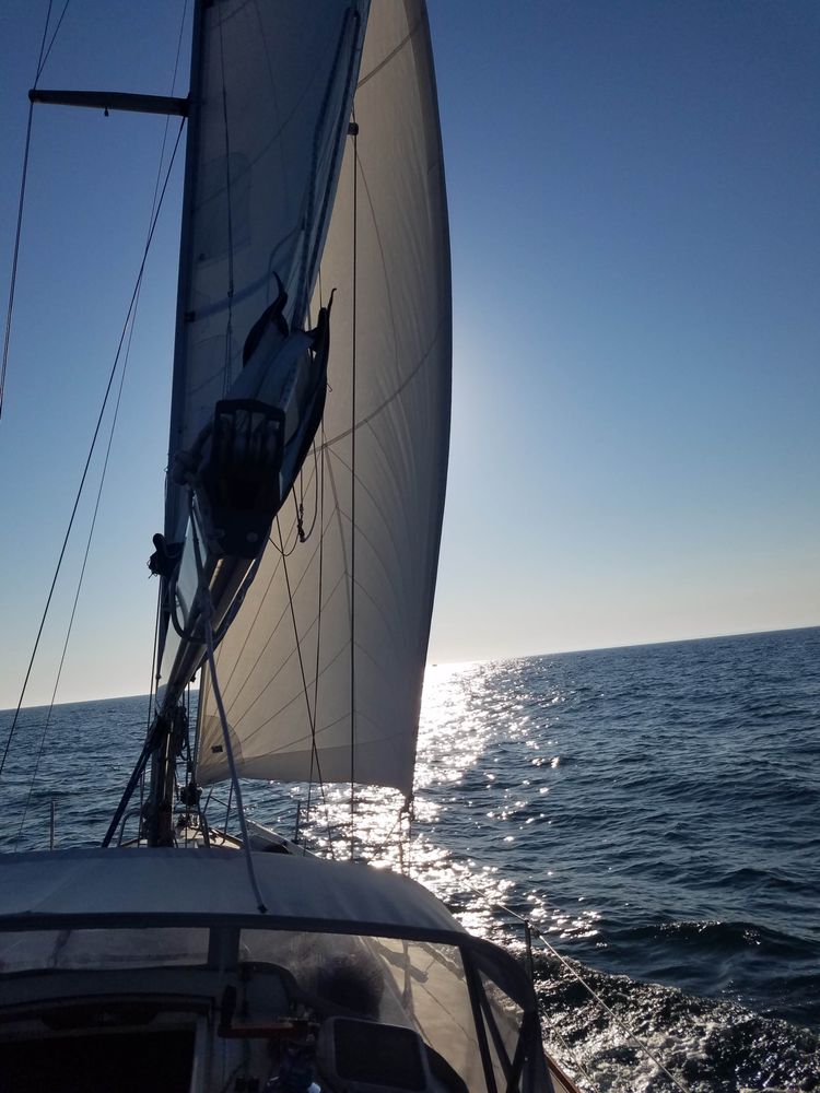 Swift Yacht Charters Logo