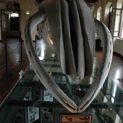 Museu de Pesca