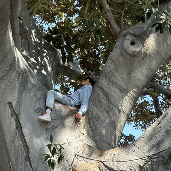 Beverly Gardens Park - Nap time - Parks Near Me - Beverly Hills, California