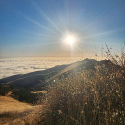 Fremont Peak State Park