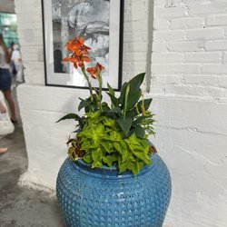 Barry's Greenhouses & Landscaping