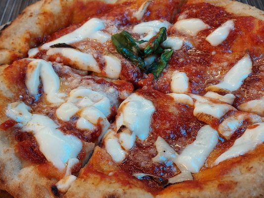 Starita by null