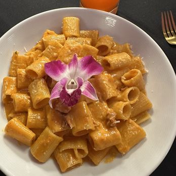 Mangia E Bevi - Spicy mezzi rigatoni vodka - Italian Near Me - Massapequa Park, New York Mangia E Bevi - Spicy mezzi rigatoni vodka - Italian Near Me - Massapequa Park, New York