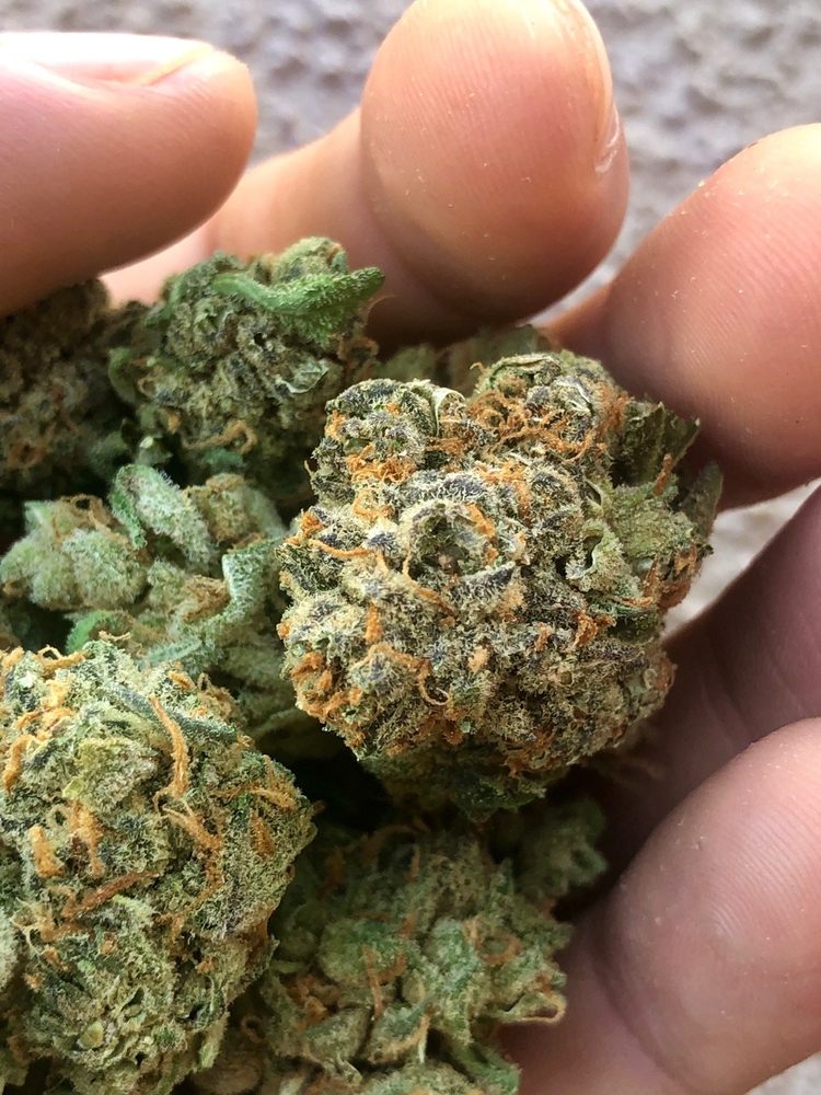 kush Cannabis Dispensaries El Segundo, CA Phone Number Yelp