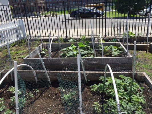Sarah Lawrence College Center for the Urban River at Beczak by null